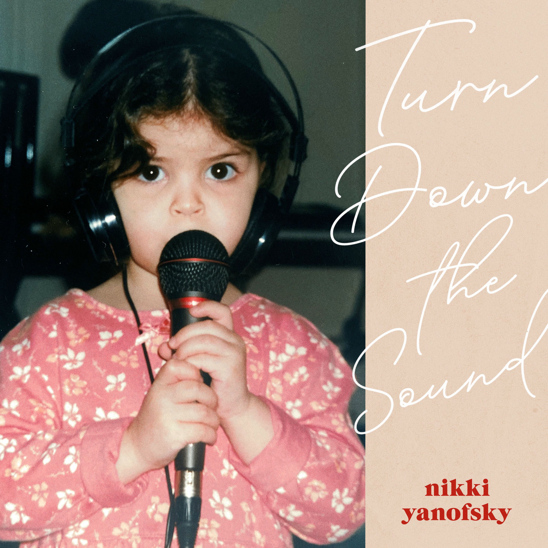 Album cover of Turn Down The Sound