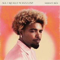 Cover of All I Really Wanna Do (Sunset Mix)