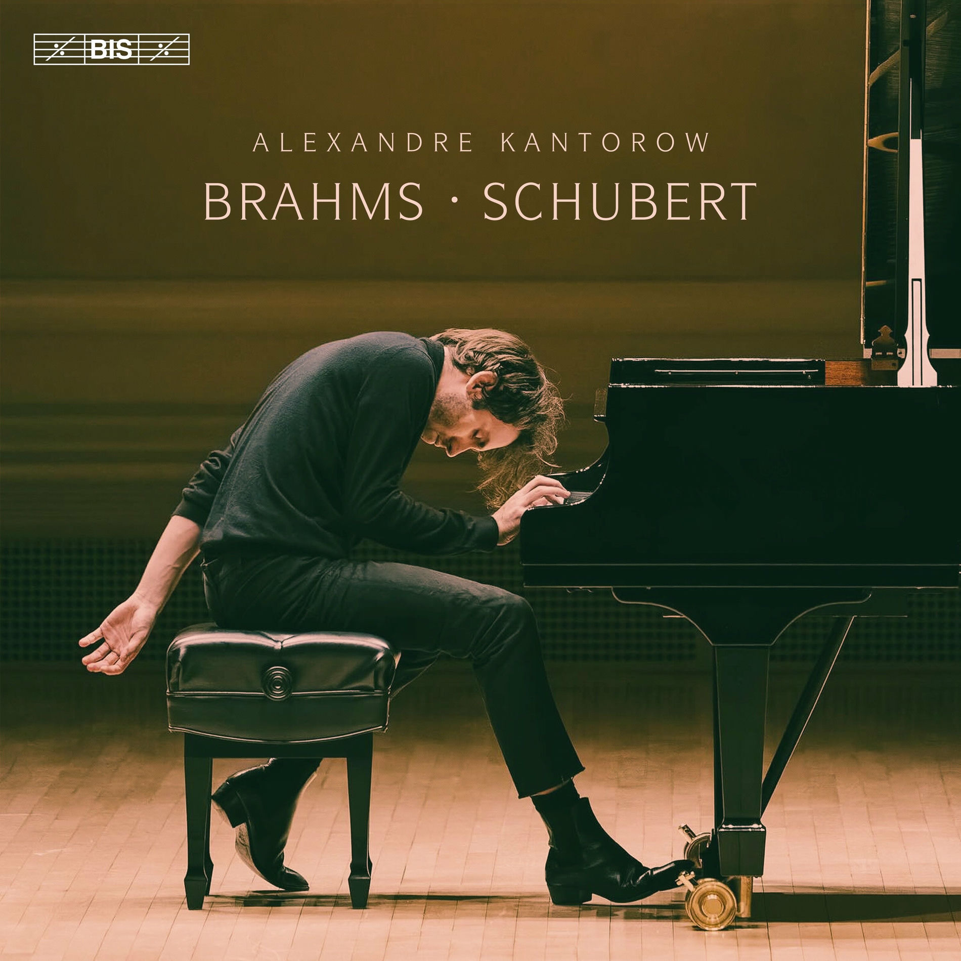 Album cover of Der Müller und der Bach, S. 565/2 (After Schubert, D. 795/19)