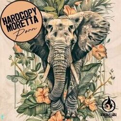 music cover