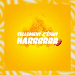 Tellement c'était Harr