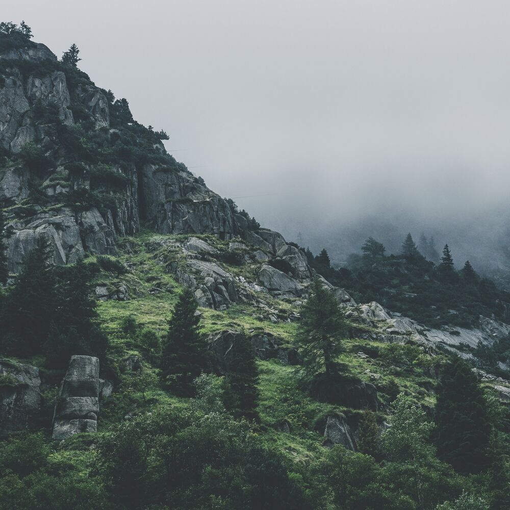 Picture of 50 Songs for Spa & Calming