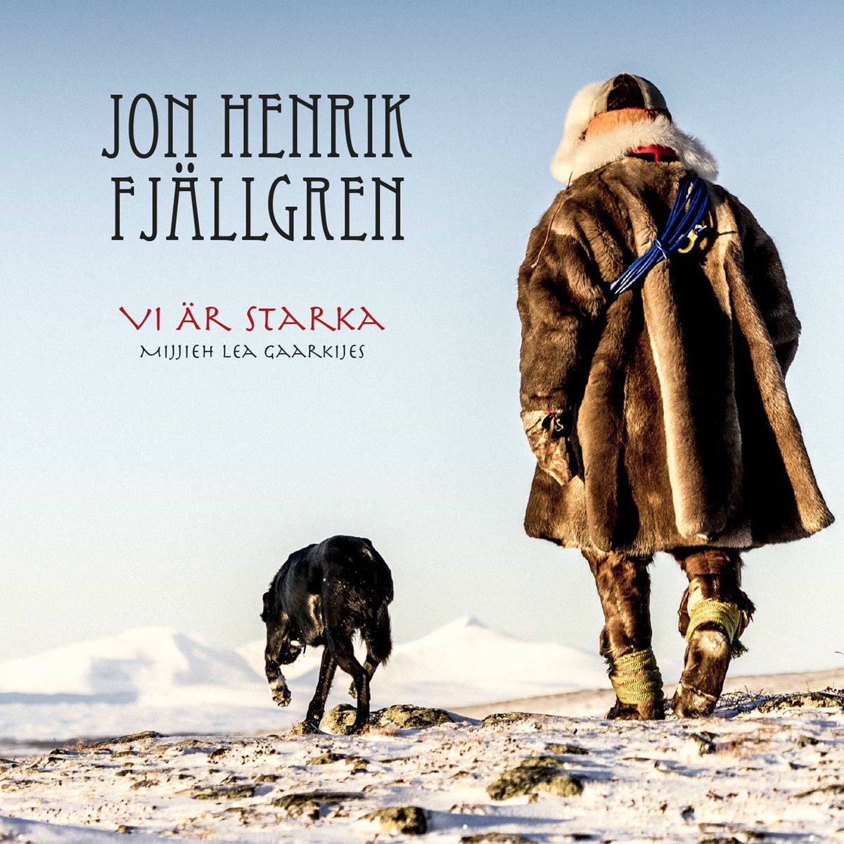 Album cover of Vi är starka