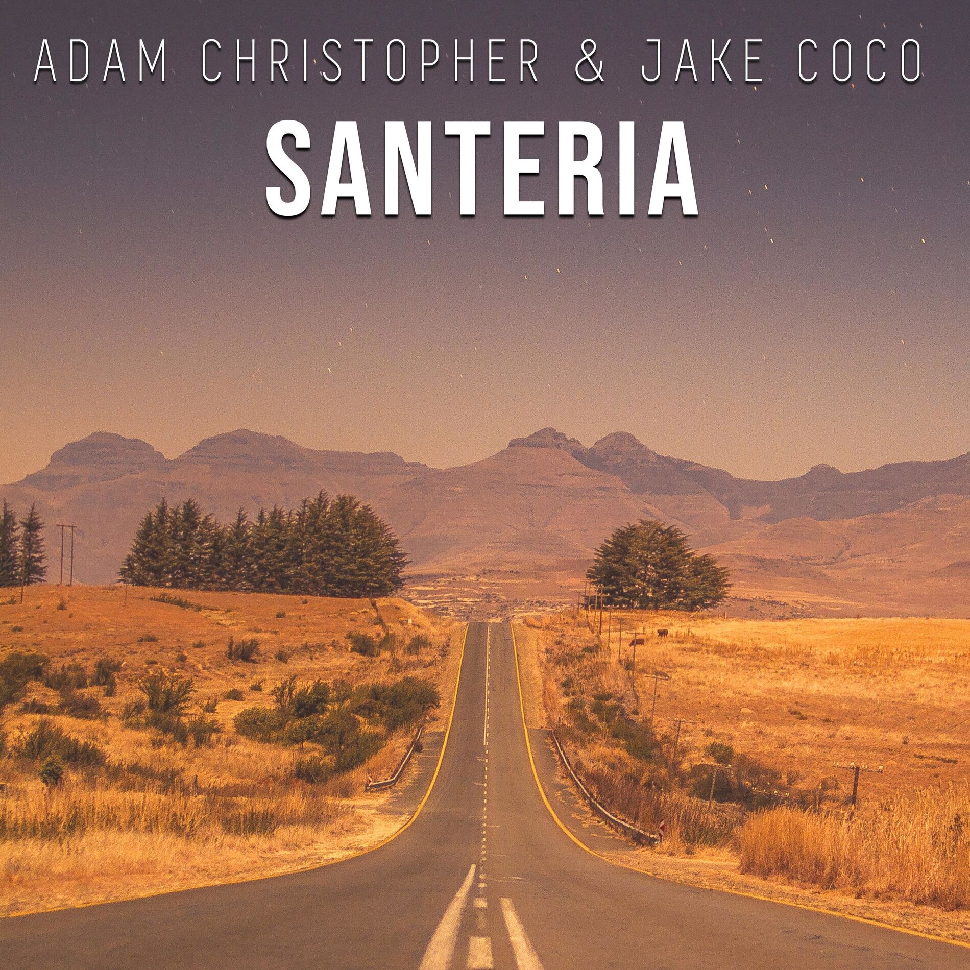 Album cover of Santeria