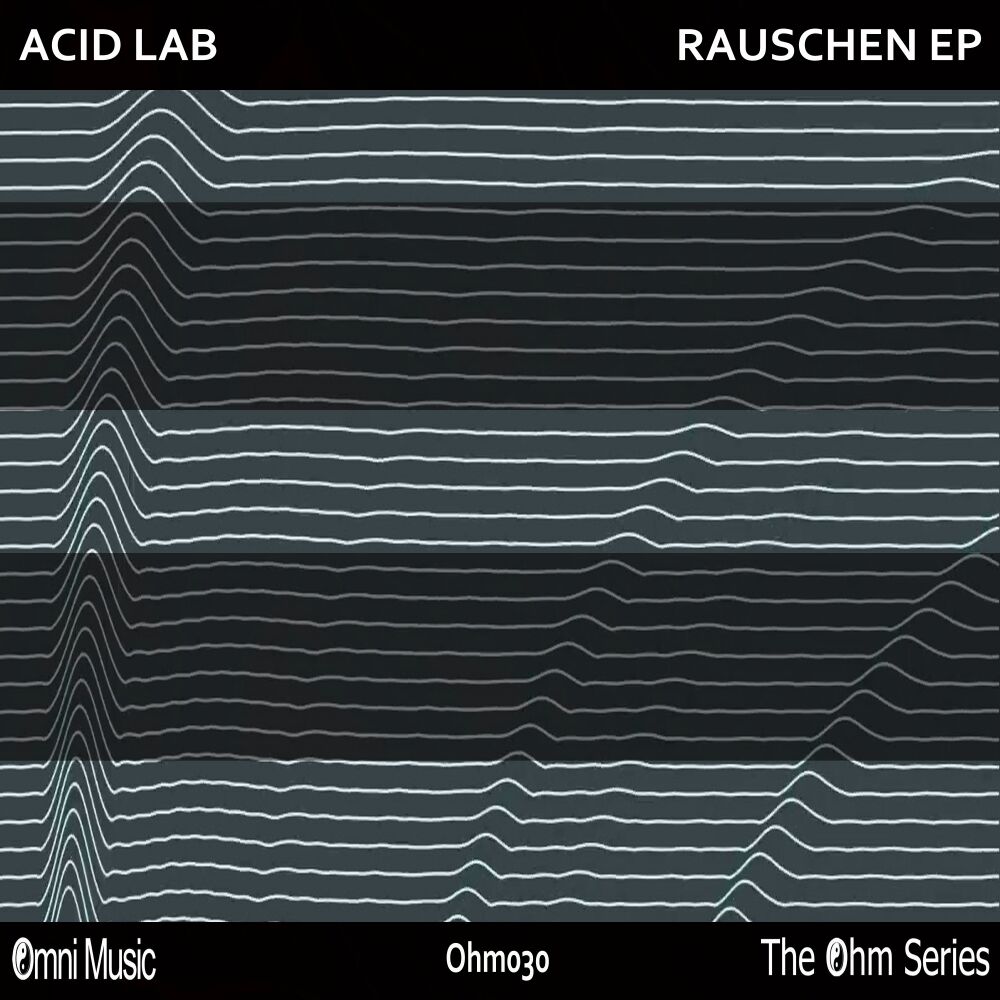 Picture of The Ohm Series: Rauschen EP
