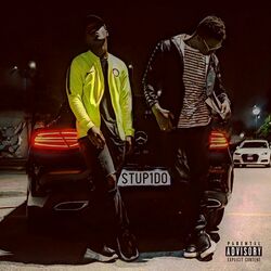 Cover of Stupido (Freestyle)