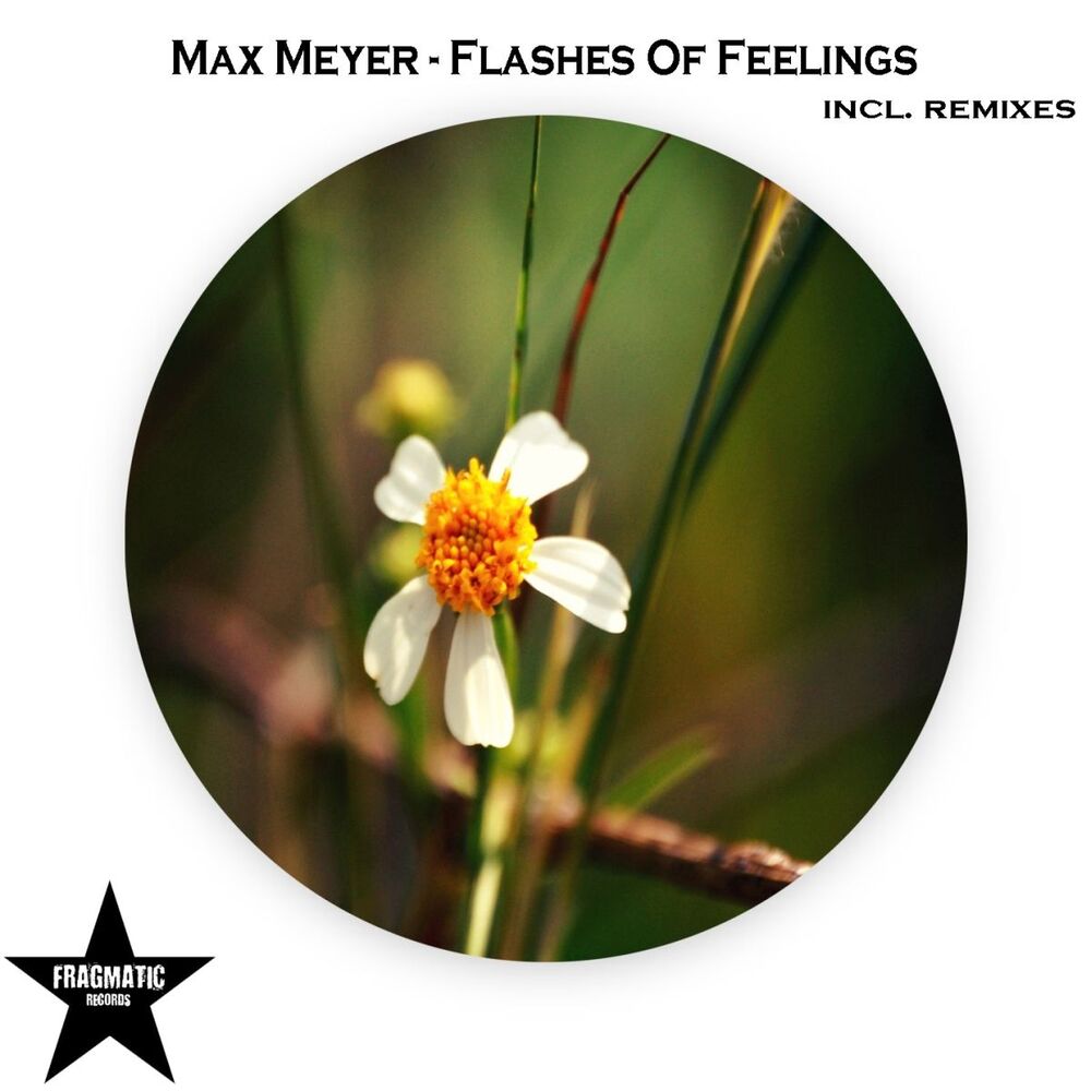 Picture of Flashes of Feelings