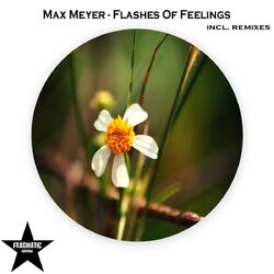 Cover of Flashes of Feelings