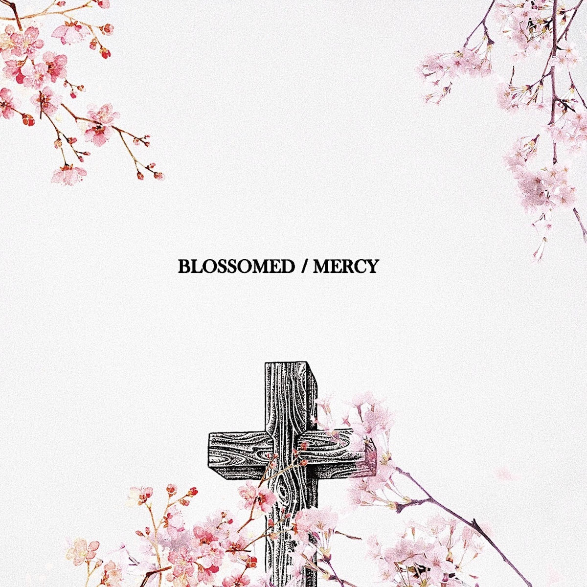 Album cover of Blossomed / Mercy