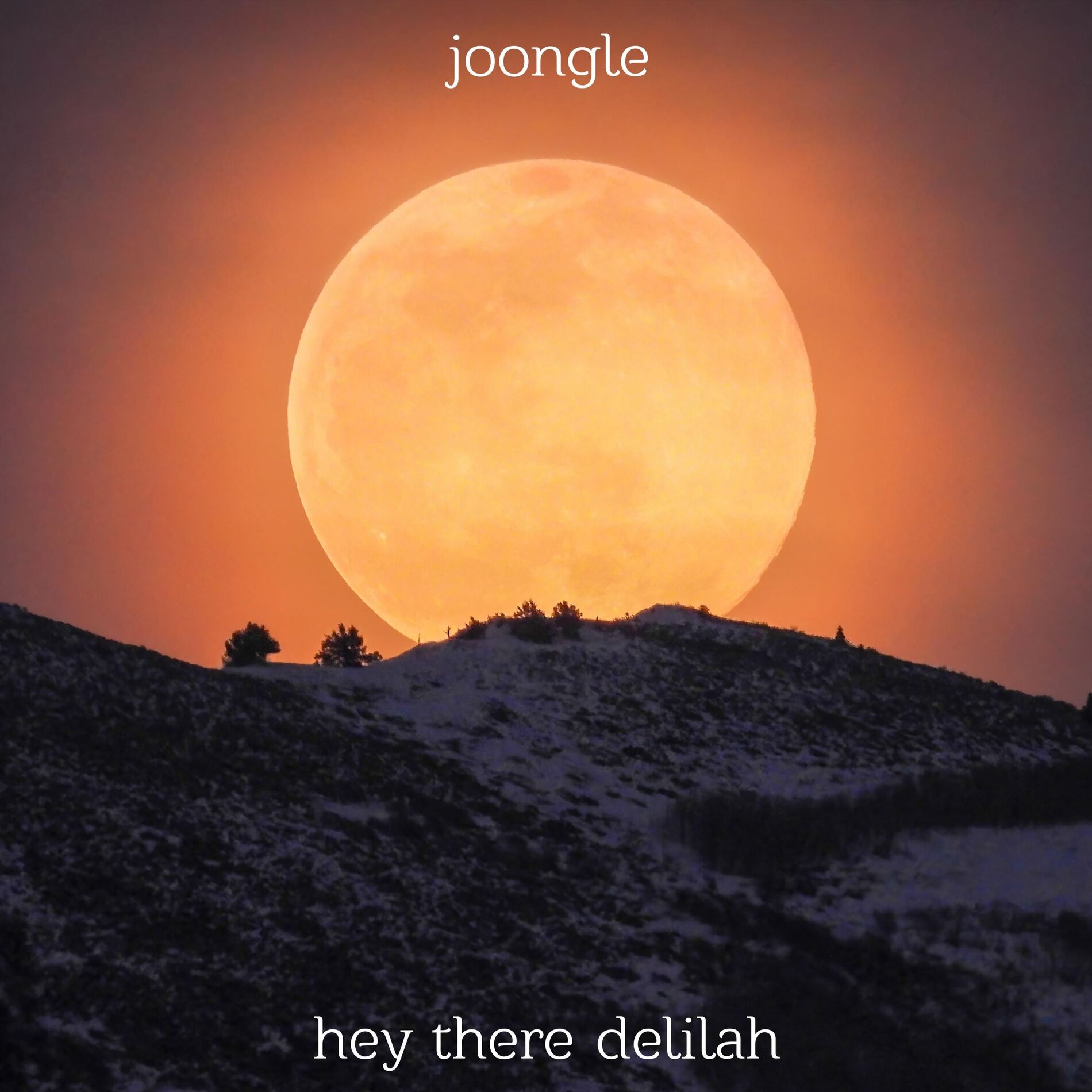 Album cover of Hey There Delilah
