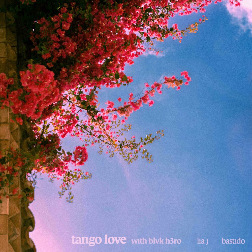 Picture of Tango Love