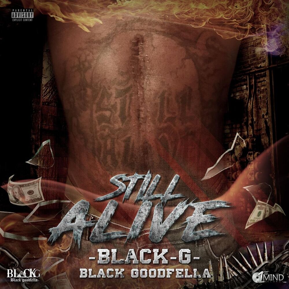 Picture of Still Alive