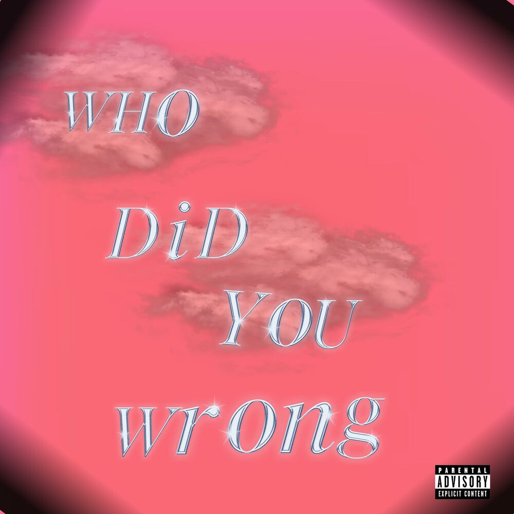 Picture of Who Did You Wrong