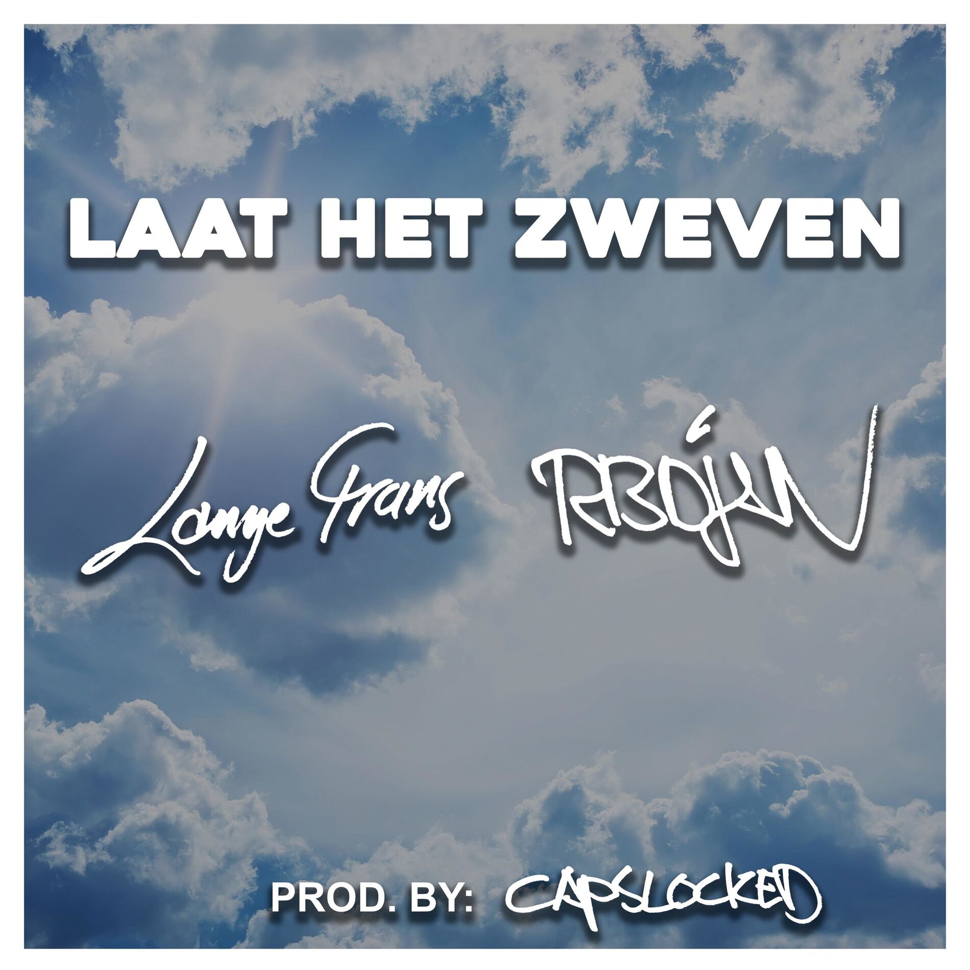 Album cover of Laat Het Zweven