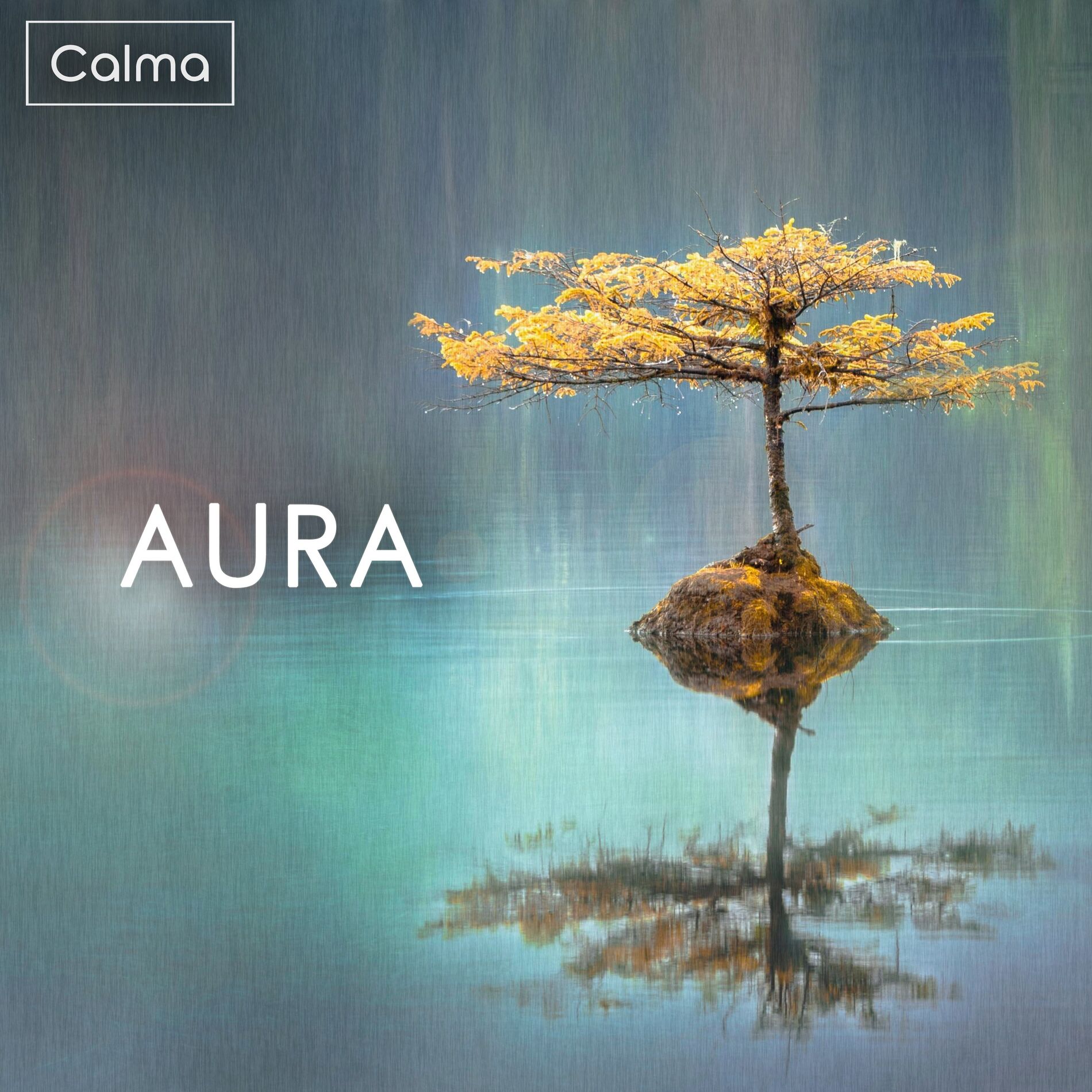 Album cover of Meditation