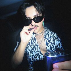 Cover of DISCO SLEAZE