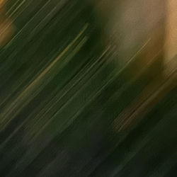 serotone