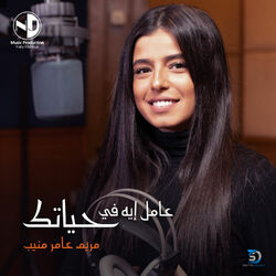 Cover of Aamel Eh Fe Hayatak