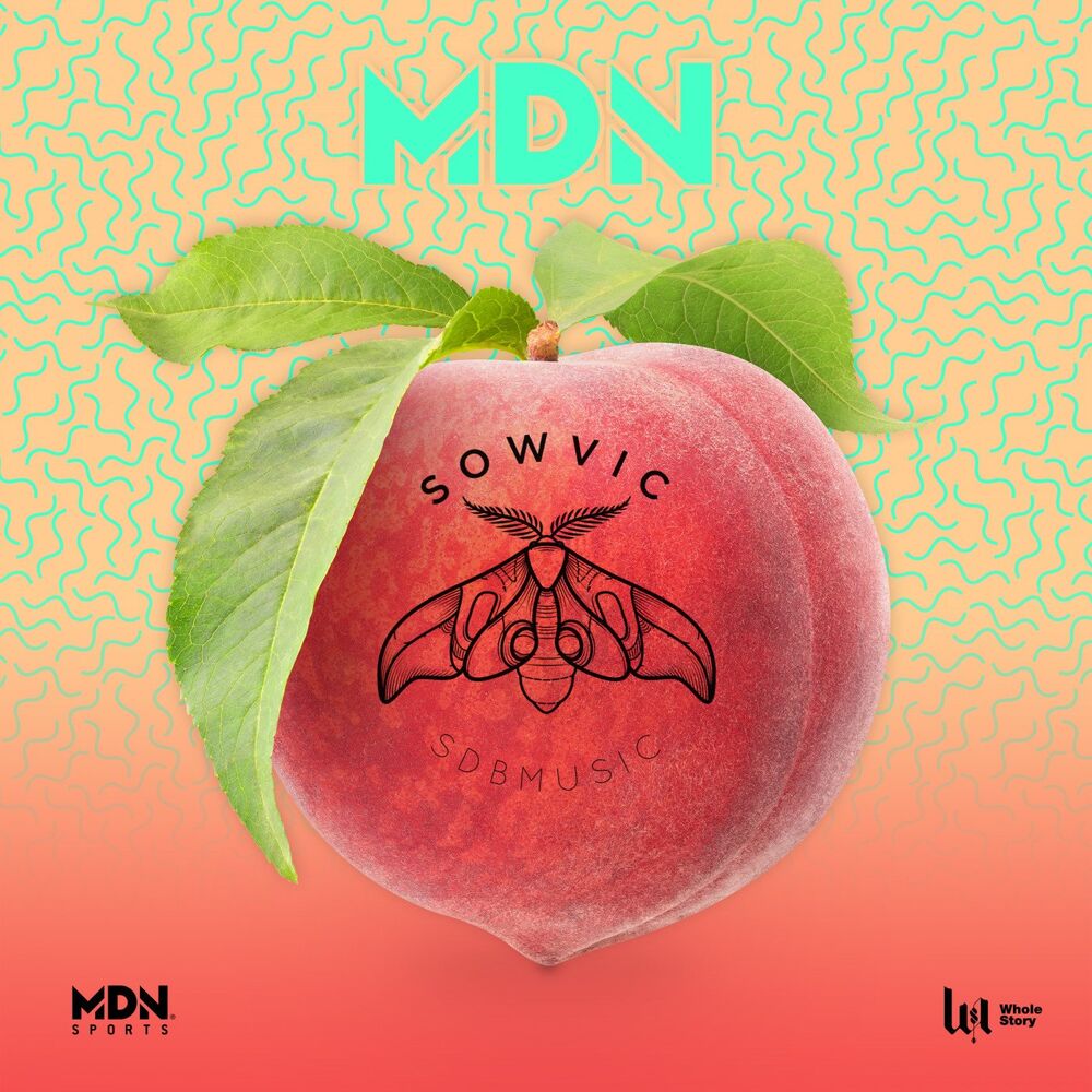 Picture of MDN feat. Wolfeat