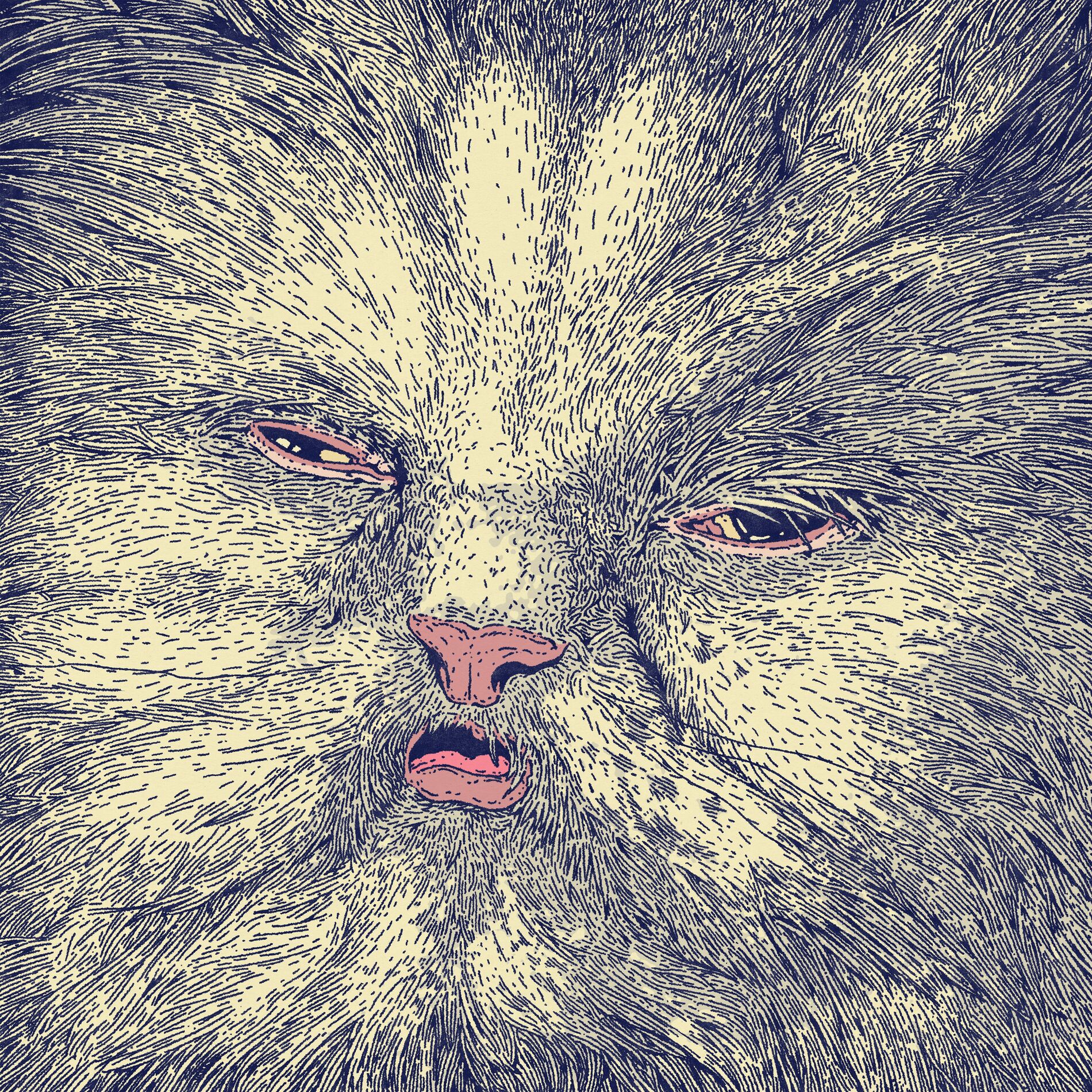 Album cover of Caméra