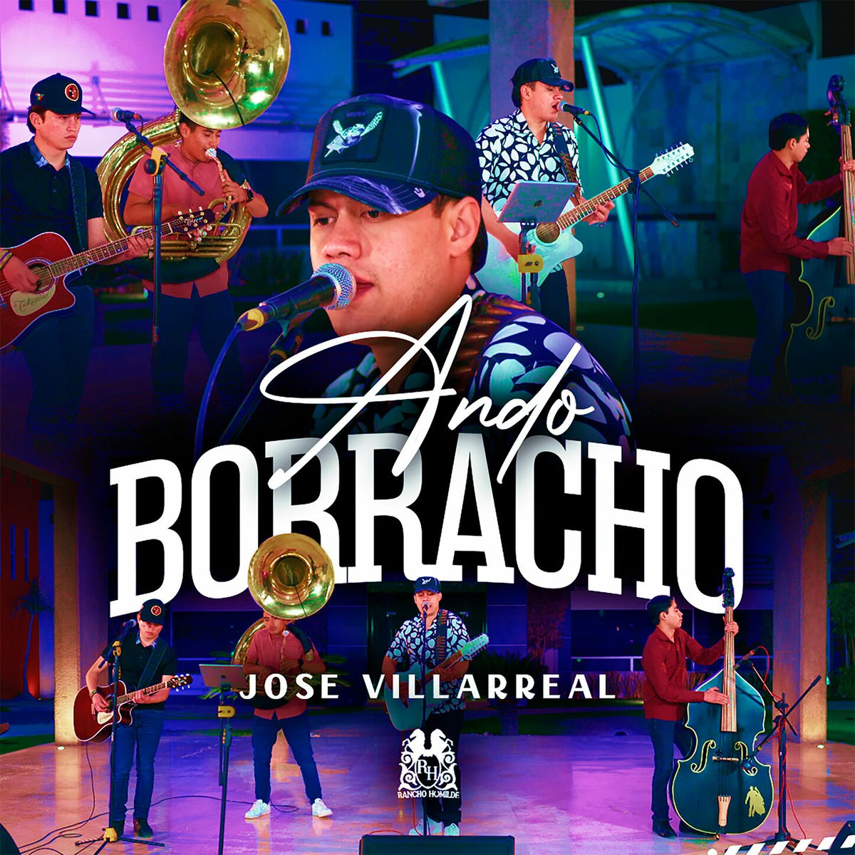 Album cover of Ando Borracho