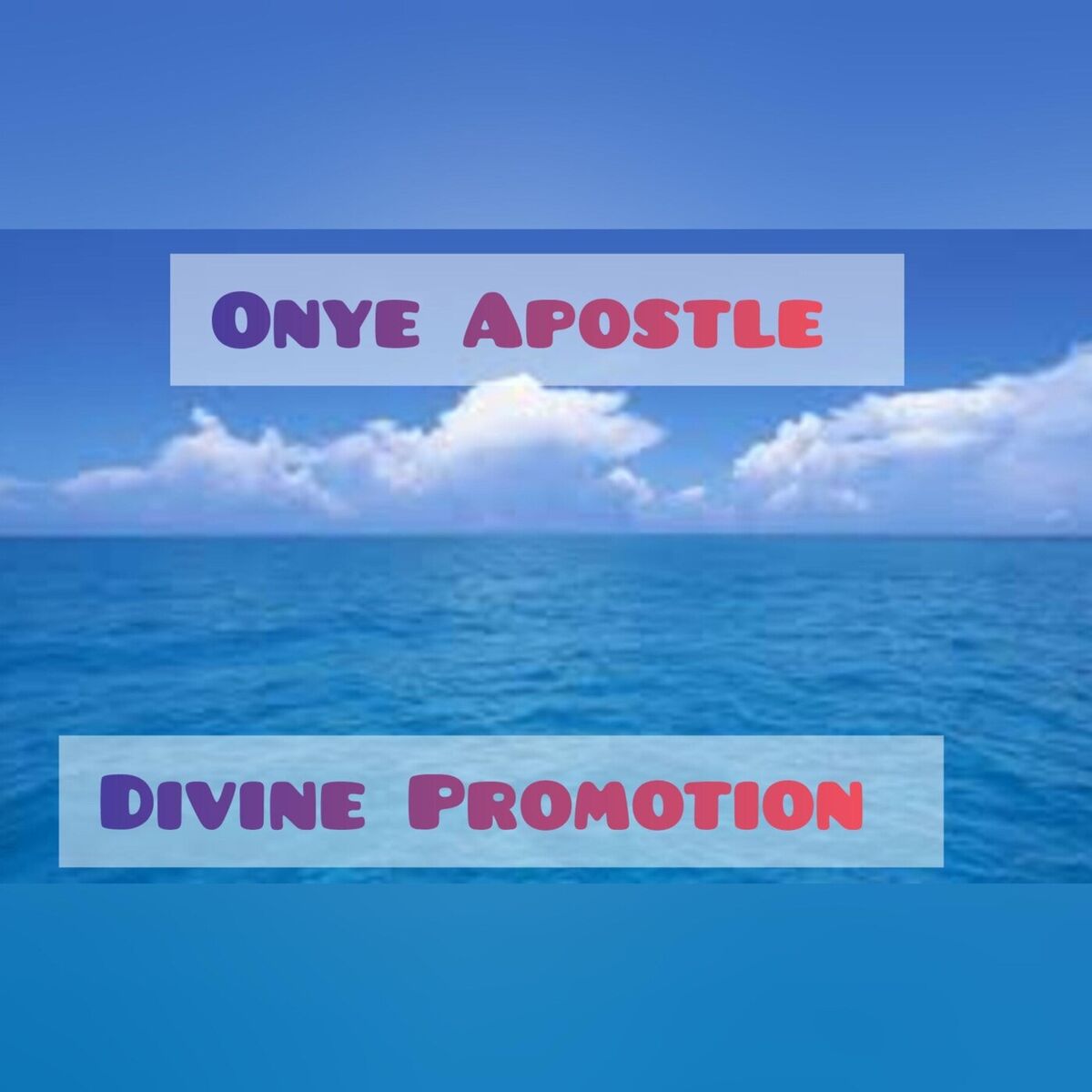 Album cover of Divine Promotion