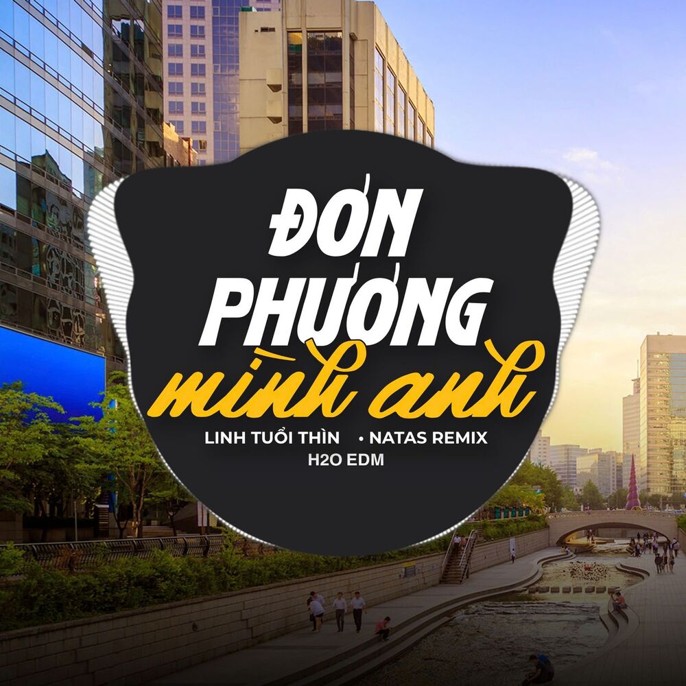 Picture of Đơn Phương Mình Anh (EDM)