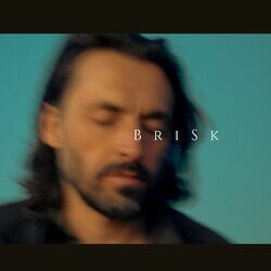Cover of Brisk
