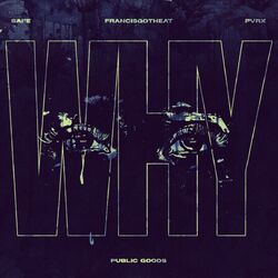 Cover of WHY