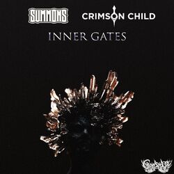 Cover of Inner Gate