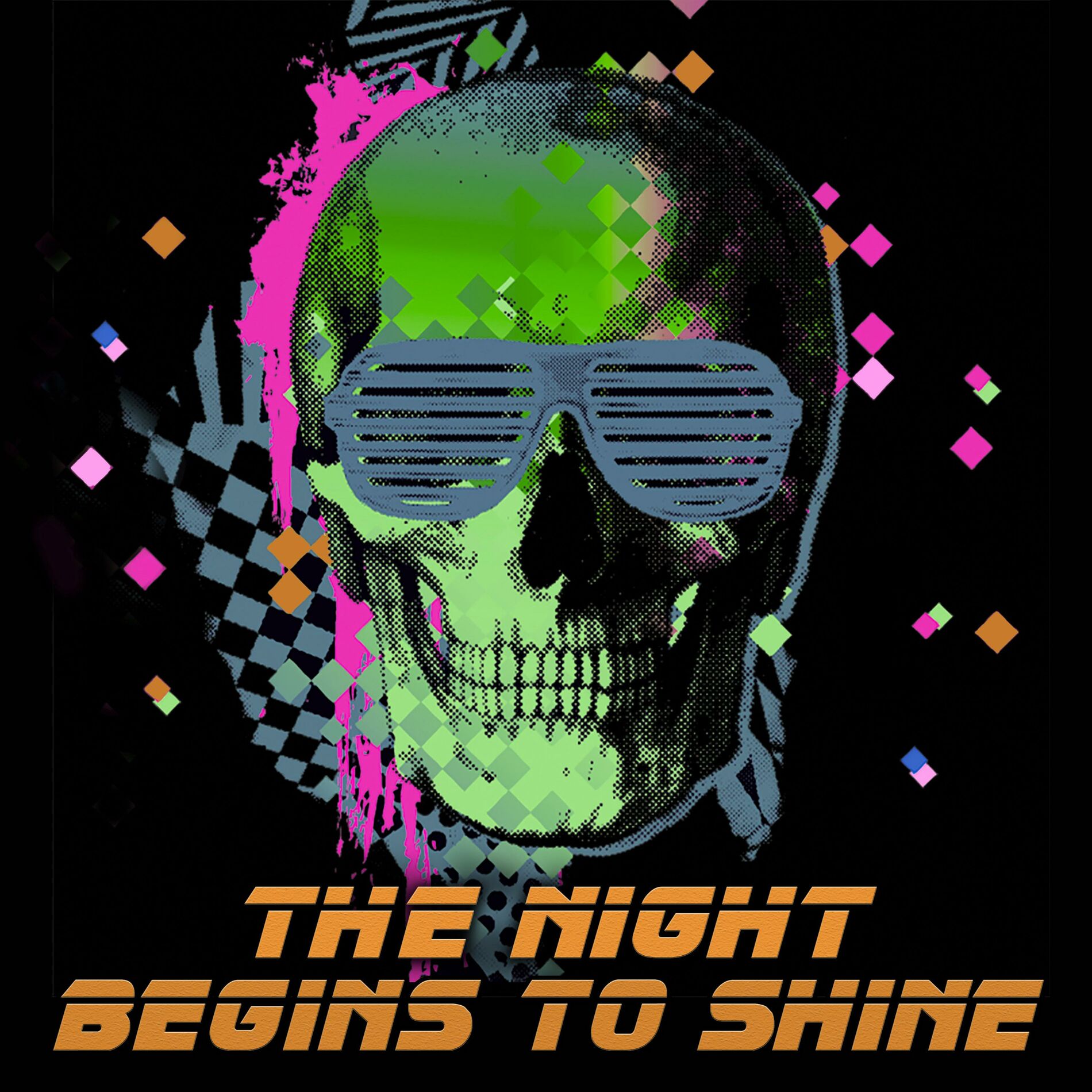 Album cover of The Night Begins to Shine