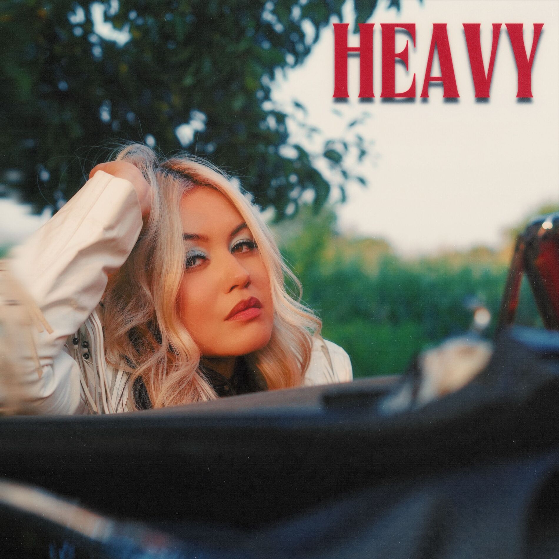 Album cover of Heavy