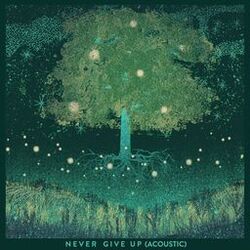 Cover of Never Give Up (Acoustic)
