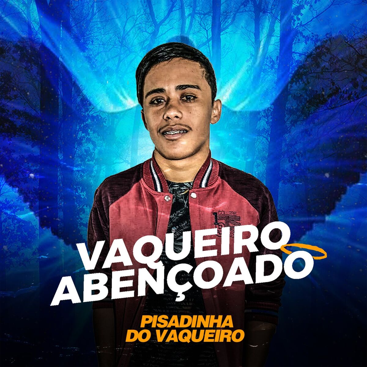 Album cover of Vaqueiro Abençoado