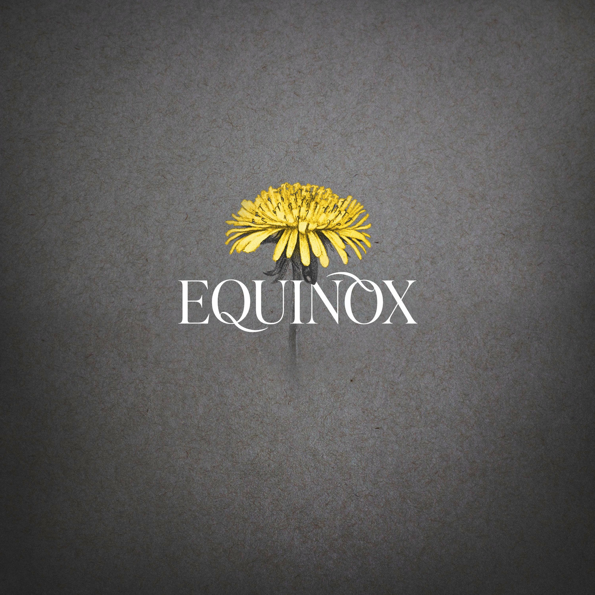 Album cover of Equinox
