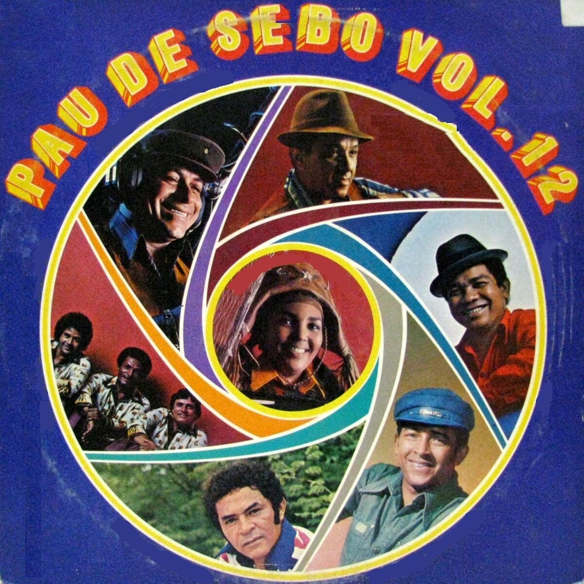 Album cover of Pau de Sebo, Vol. 12