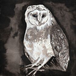Cover of Owl Song