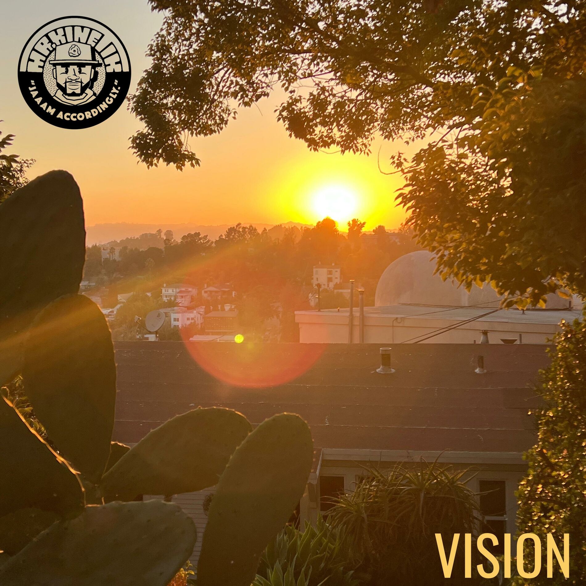 Album cover of Vision