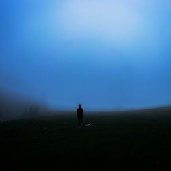 Cover of as the memories fade away