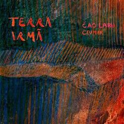 Cover of Terra Irmã