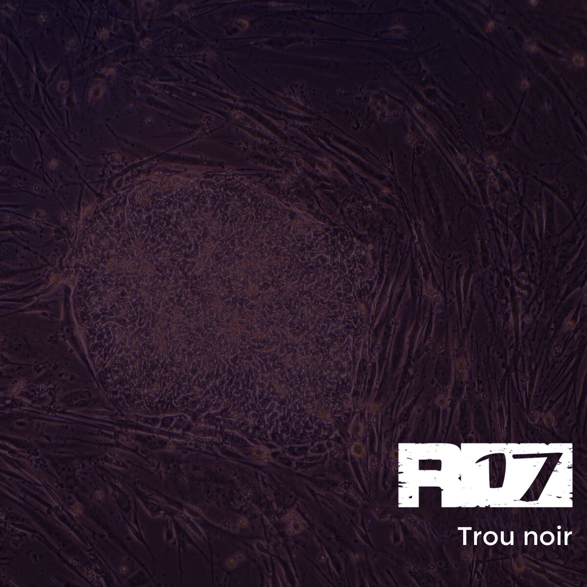 Album cover of Trou noir (Remix)