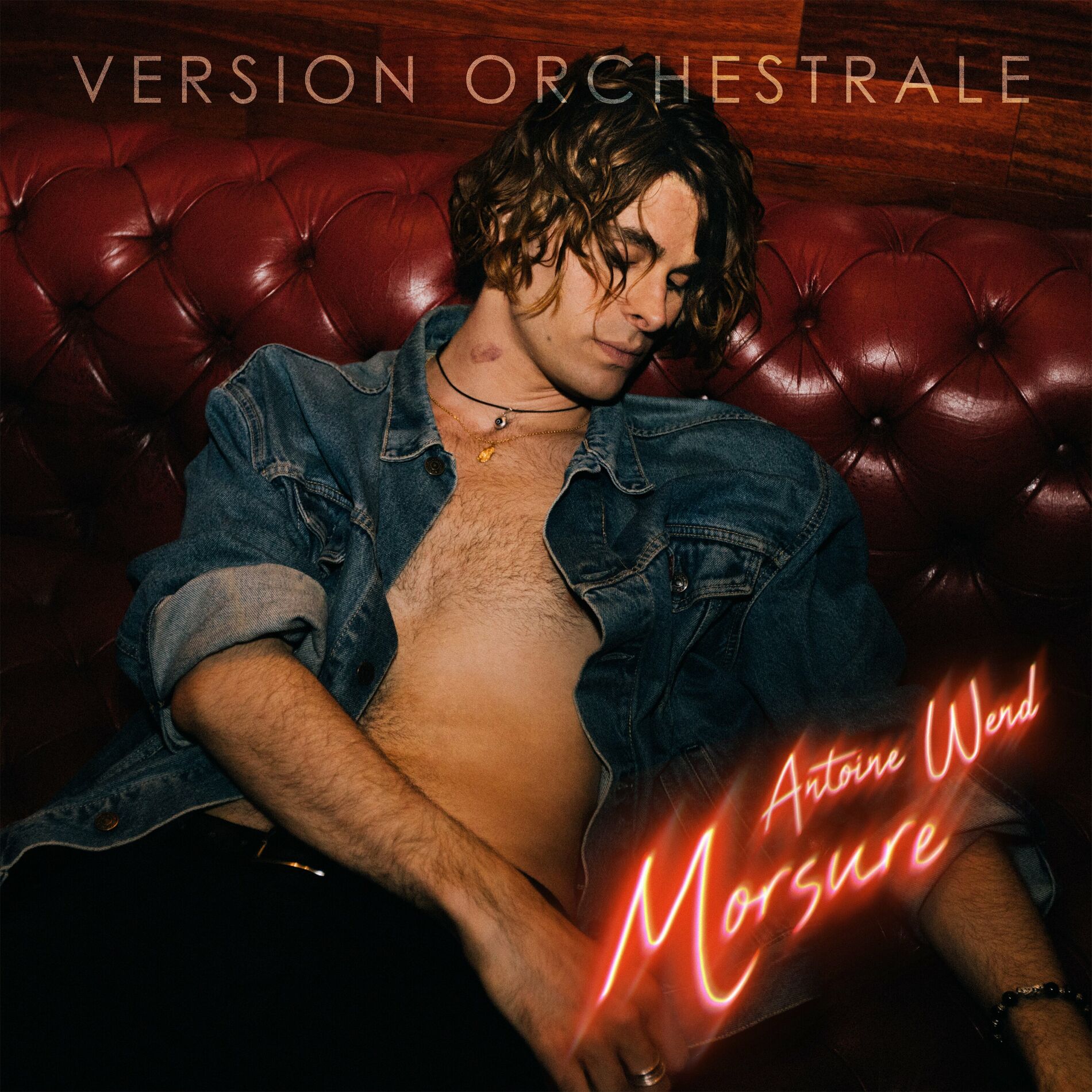 Album cover of Morsure (Version orchestrale)