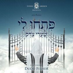 Cover of Pischu Li (feat. Dudu Fisher)