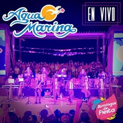 Domingos de fiesta (En Vivo)