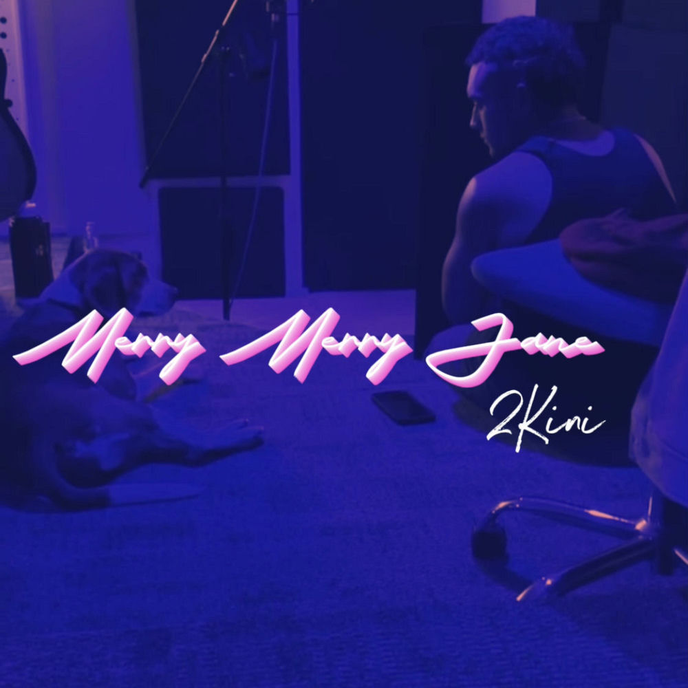 MERRY MERRY JANE artwork