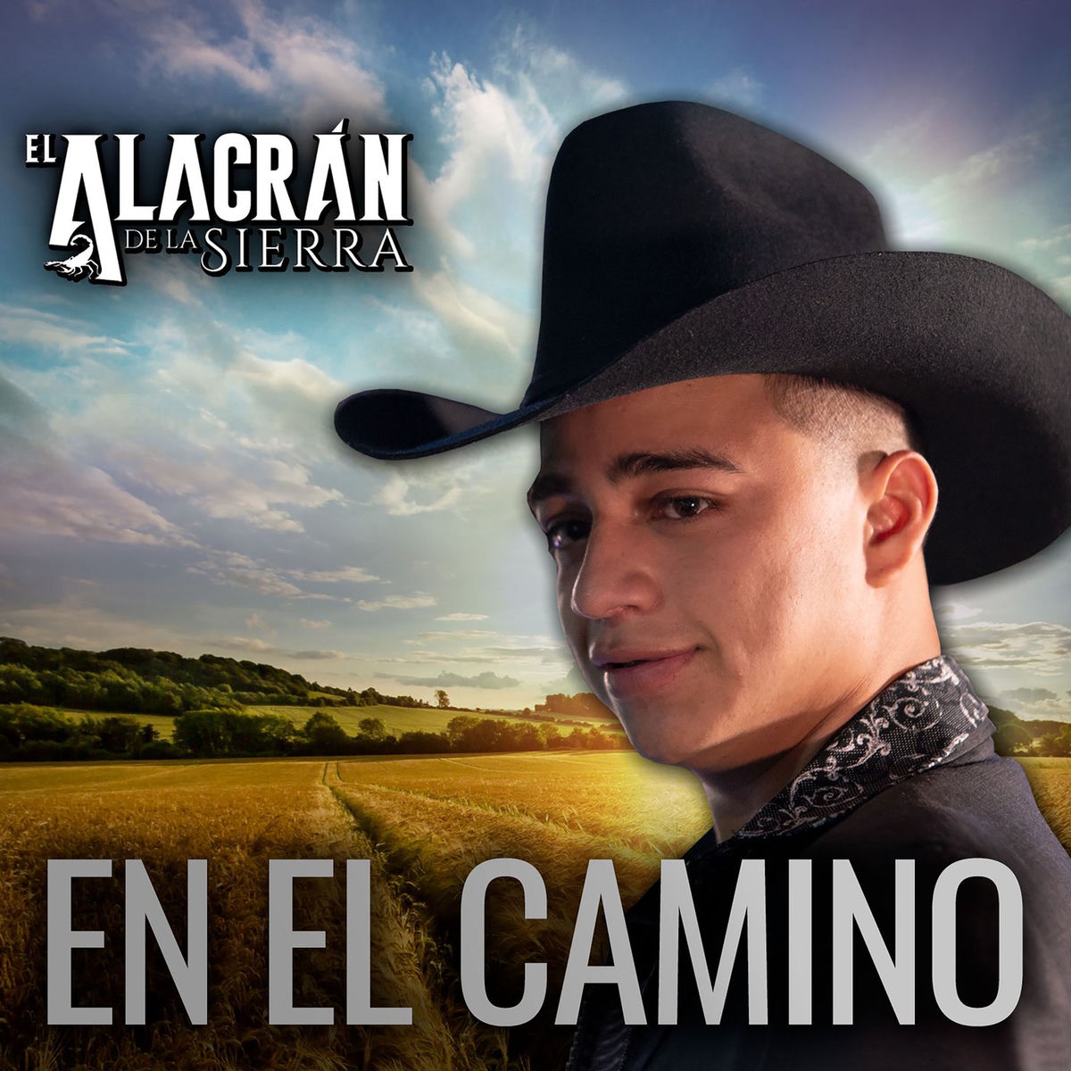 Album cover of Broche De Oro