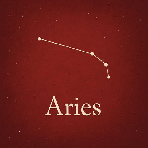 Aries sleeve
