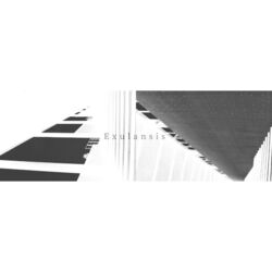 Cover of Exulansis