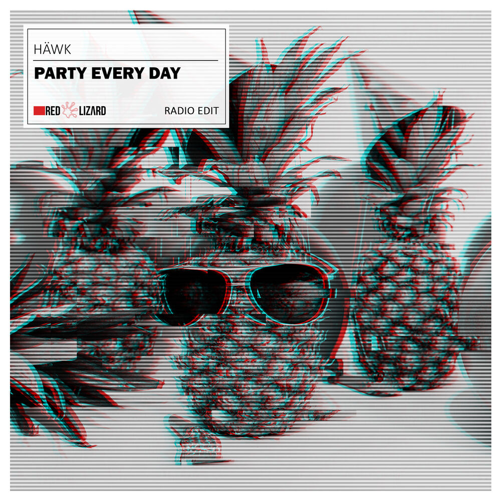 Picture of Party Every Day (Radio Edit)