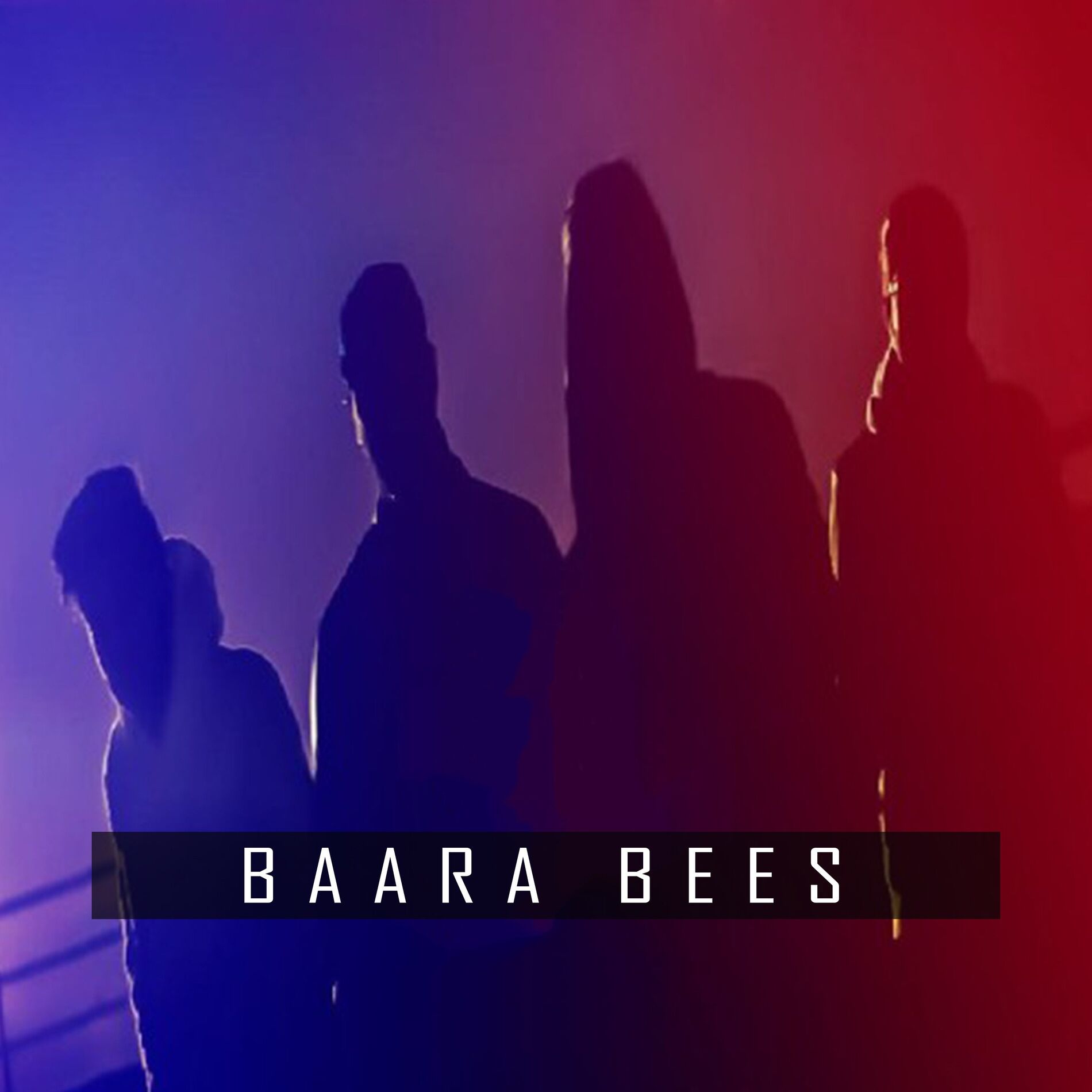 Album cover of Baara Bees